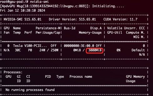 GPU 内存硬限制演示,显示容器内 3GB 设备内存